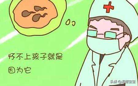 香港时代化验所验血价格,无精症患者都没有精子？无精症还能做试管吗？