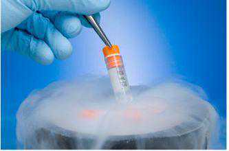 为啥香港验血检测宝宝就是合法的,做试管婴儿解冻6年前冻坯胎，“双胞胎”相