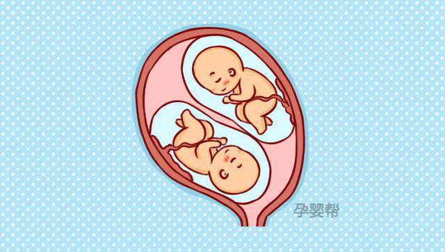 香港验血鉴定男女性别费用多少钱,有巧囊怎么了？！照样俩月备孕就怀上双胞