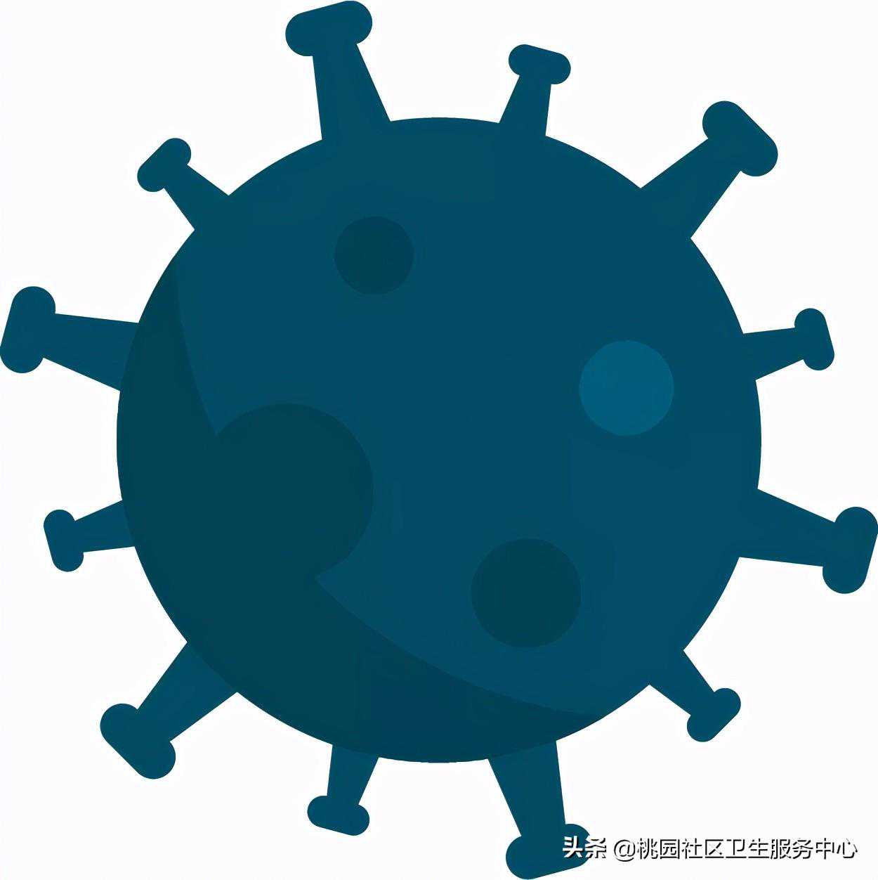 香港验血说男生女,备孕可以拒绝打新冠疫苗吗？