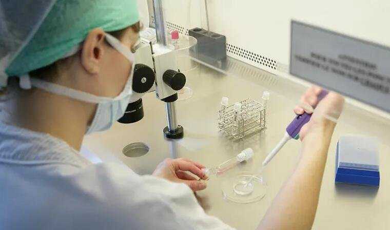 香港验血辨别胚胎性别_一个月生化了可以去香港验血吗_验血是中介,还是直接去