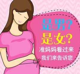 中介香港验血查男女可靠吗_有没有去香港抽血测男女的?亲身经历具体攻略