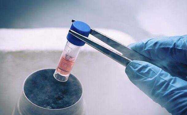 香港验血16项有两项无法检测_香港验血测男女真的能验出Y染色体吗？